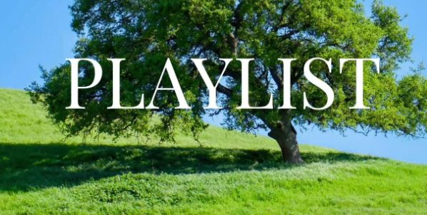 用飞牛docker安个音乐下载器